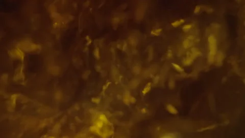 Low angle yellow bubbling liquid poured into glass Stock Footage 335704450