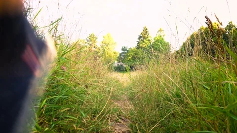 Low Angle - Young Man Hiking on Path Stock Footage 96843617