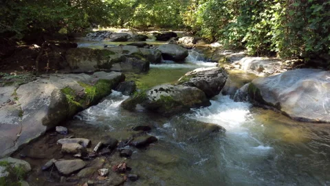 Low approaching shot over forest creek and cascade Stock Footage 218609665