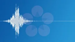 Low bass whoosh 0001 Sound Effect