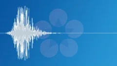 Low bass whoosh 0002 Sound Effect