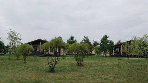Low beautiful trees grow in the middle of the lawn in a beautiful park area Stock Footage 150396423