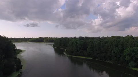 Low to boulevard 库存影片 54349767