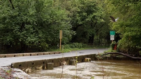Low bridge high water Video stock 97528817