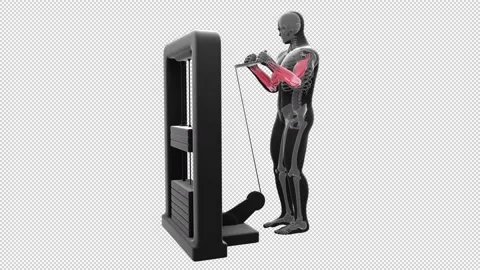 Low Cable Rope Curl Stock Footage 164319178