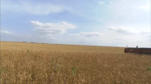Low close up as combine passes Stock Footage 42351139
