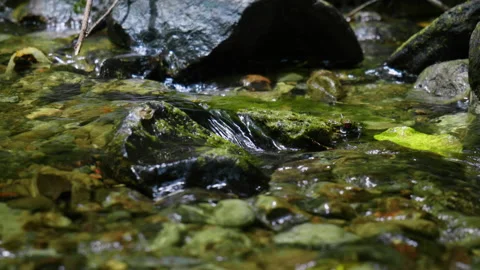 Low close up of water flowing through creek Video stock 229080423