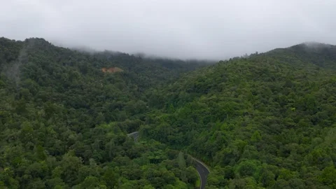 Low Cloud Cap over Bush Covered Hills and Winding Road, Northland, New Zealand Vídeos de archivo 348890635