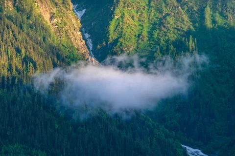 Low cloud drifting above lush alpine forest Stock Photos