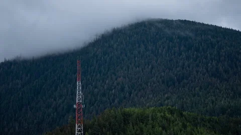 Low cloud drifting over a forested mountain and radio tower timelapse Video stock 347818873
