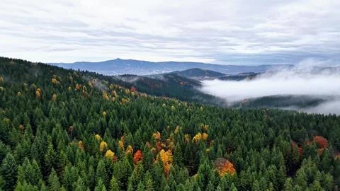 Low cloud valley, photographer captures expansive scene of foggy ridge terrain Stock Photos