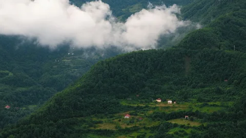 Low Clouds Above Forest In Mountains. Durmitor national park. Montenegro Video stock 271324353