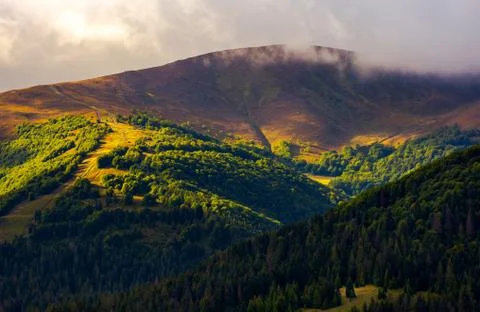 Low clouds above the forested hill in sunlight Stock Photos