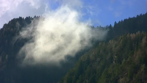 Low clouds above pines in a valley Stock Footage 104602454