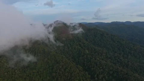 Low clouds cover mountains of Bwindi Impenetrable Forest, Uganda in Stock Footage 251640819