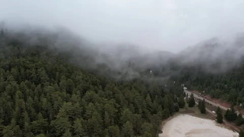 Low clouds covering alpine gorge and dense evergreen woodland terrain 動画素材 344096283