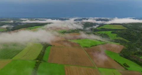 Low clouds covering part of the landscape. Heavy clouds, green vegetation. Mist Видео 252944693