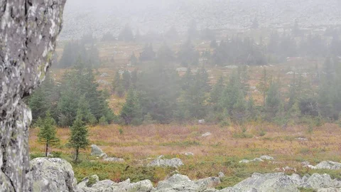 Low clouds flow through the mountain taiga area 4K Stock Footage 81365383