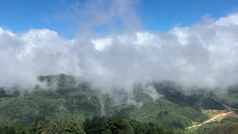 Low Clouds Flowing Into Forested Valley in Kartepe, Turkey Stock Footage 341818094