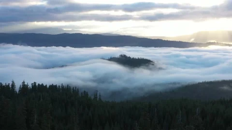 Low Clouds in Forest Canopy 動画素材 222632000