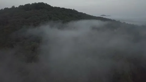 Low clouds linger over a forest Video stock 162407130