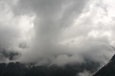 Low clouds on mountains, conifer forest covered by fog and clouds Stock Photos