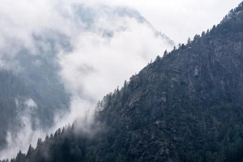 Low clouds on mountains, conifer forest covered by fog and clouds Stock Photos