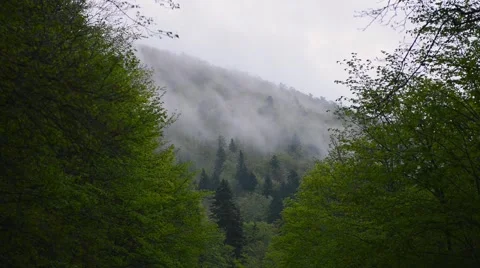 Low clouds moving over the mountain. Stock Footage 63144278