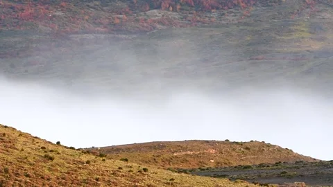Low clouds moving whit wind between yellow automn hills in Patagonia in Torres Video stock 241509495