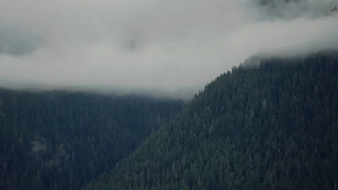 Low clouds over dark forested mountain slopes in Alaska Stock Footage 347824684