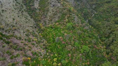 Low clouds over the mountains from a drone Stock Footage 257090450