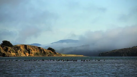 Low clouds over a seaside coast. Stock Footage 88342478