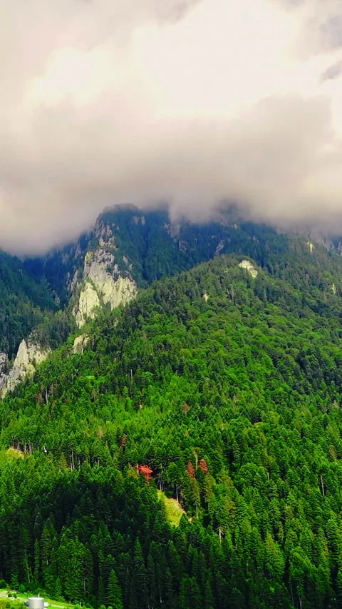 Low clouds over steep rocky mountain covered with dense green forest Stock Footage 329915058