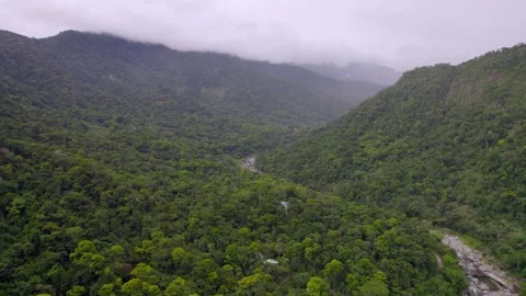 Low Clouds Over Tropical Mountain Valley in Pico Bonito Stock Footage 346388052