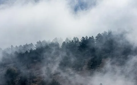 Low clouds over valley, view from the mountains. Low clouds. Stock-Fotos