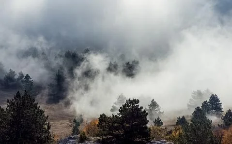 Low clouds over valley, view from the mountains. Low clouds. Stock Photos