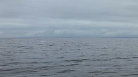 Low clouds over the white sea Stock Footage 119599083