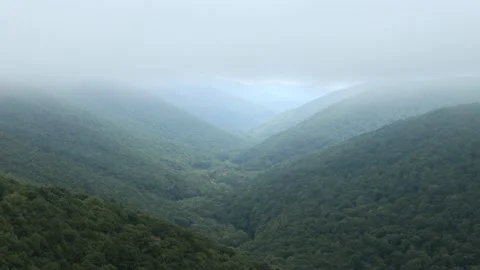 Low clouds pass over the Red Creek Valley in the Dolly Sods Wilderness, Video stock 140609773