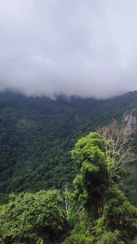 Low Clouds Rolling Over Green Mountain Forest Landscape Stock Footage 324707014