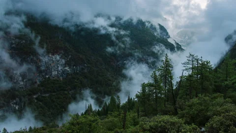 Low clouds rolling through a forested mountain valley timelapse Video stock 154941253