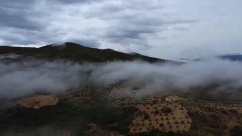 Low clouds spreading above agricultural plain with olive groves and fields Stock Footage 344096599