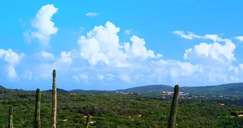 A low clouds time-lapse behind hills on sunny day. Stock-Footage 98462671