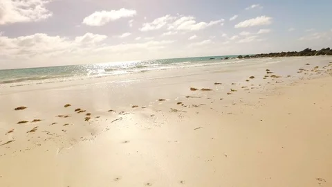 Low Coastal View of Barbary Beach Rocks Sand and Bay, Bahamas Stock Footage 100510149