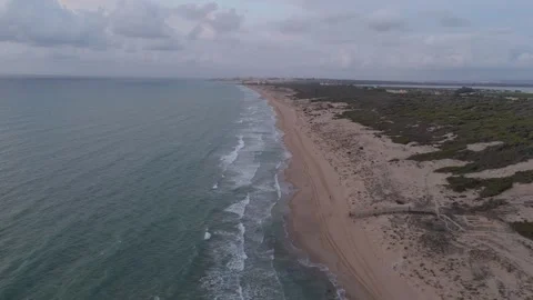 Low density of people walking along sandy beach with dunes behind, filmed f.. Video stock 317686068