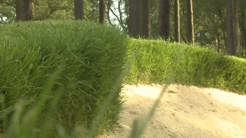 Low down in a golf bunker Stock-Footage 80468899