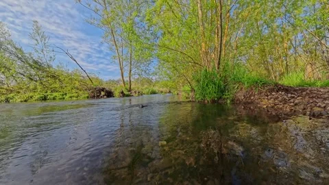 Low down shot of the River Wensum Video stock 309242162