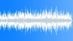 Low Drive Acoustic Music with No solo instrument Stock Music