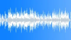 Low Drive Acoustic Underscore with Classic waltzing Electric country guitar Stock Music