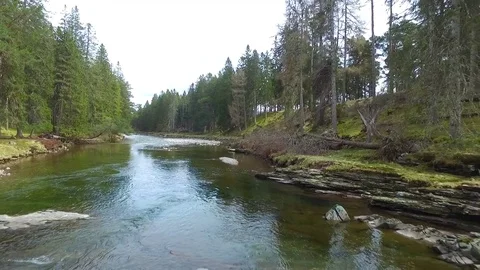 Low Drone Aerial of the River Dee 動画素材 81718564