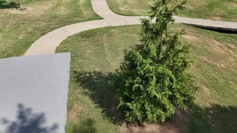 Low drone drift past evergreen tree toward patio and winding sidewalk Stock Footage 346664789